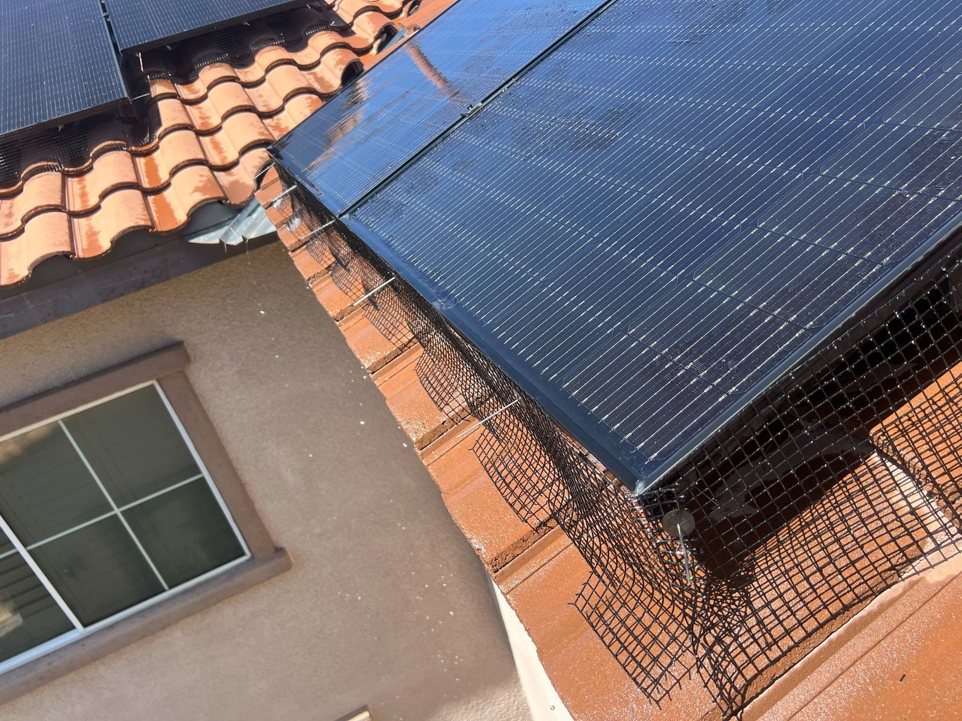 bird netting installed on solar panels