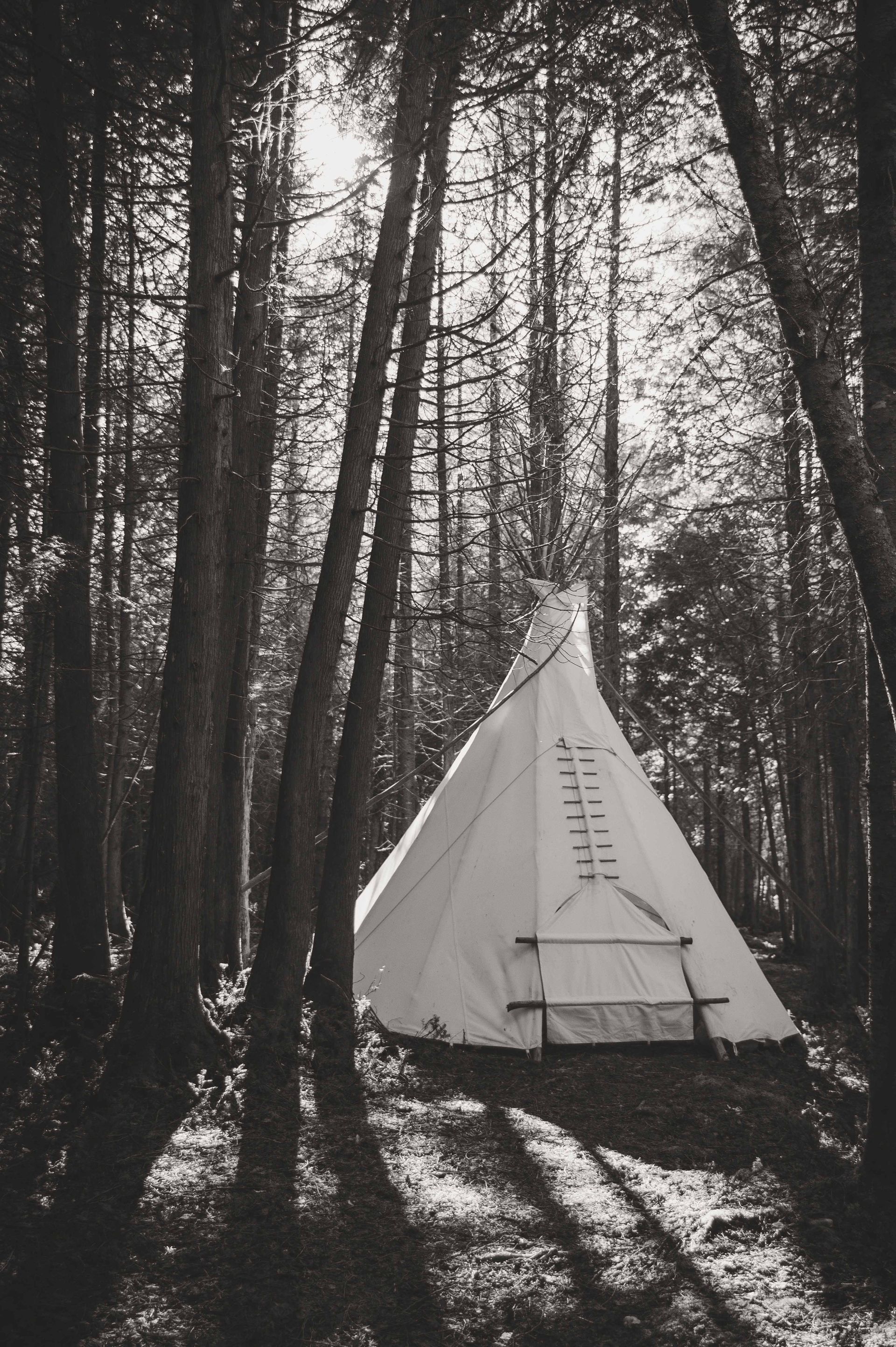 Tipi blanc dans une clairière ensoleillée, entouré de grands arbres.