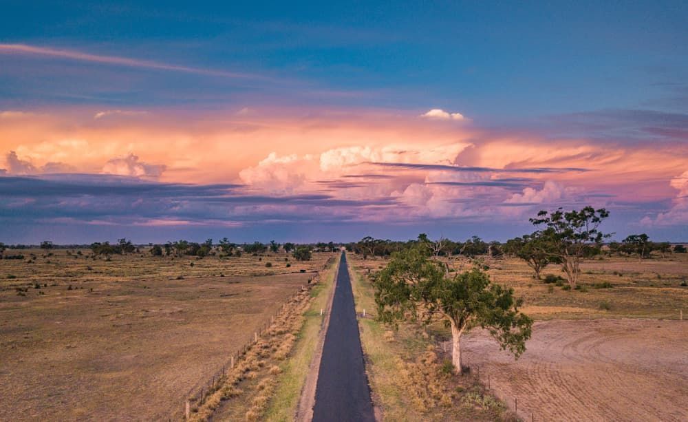 A road in the middle of dry land with a few trees