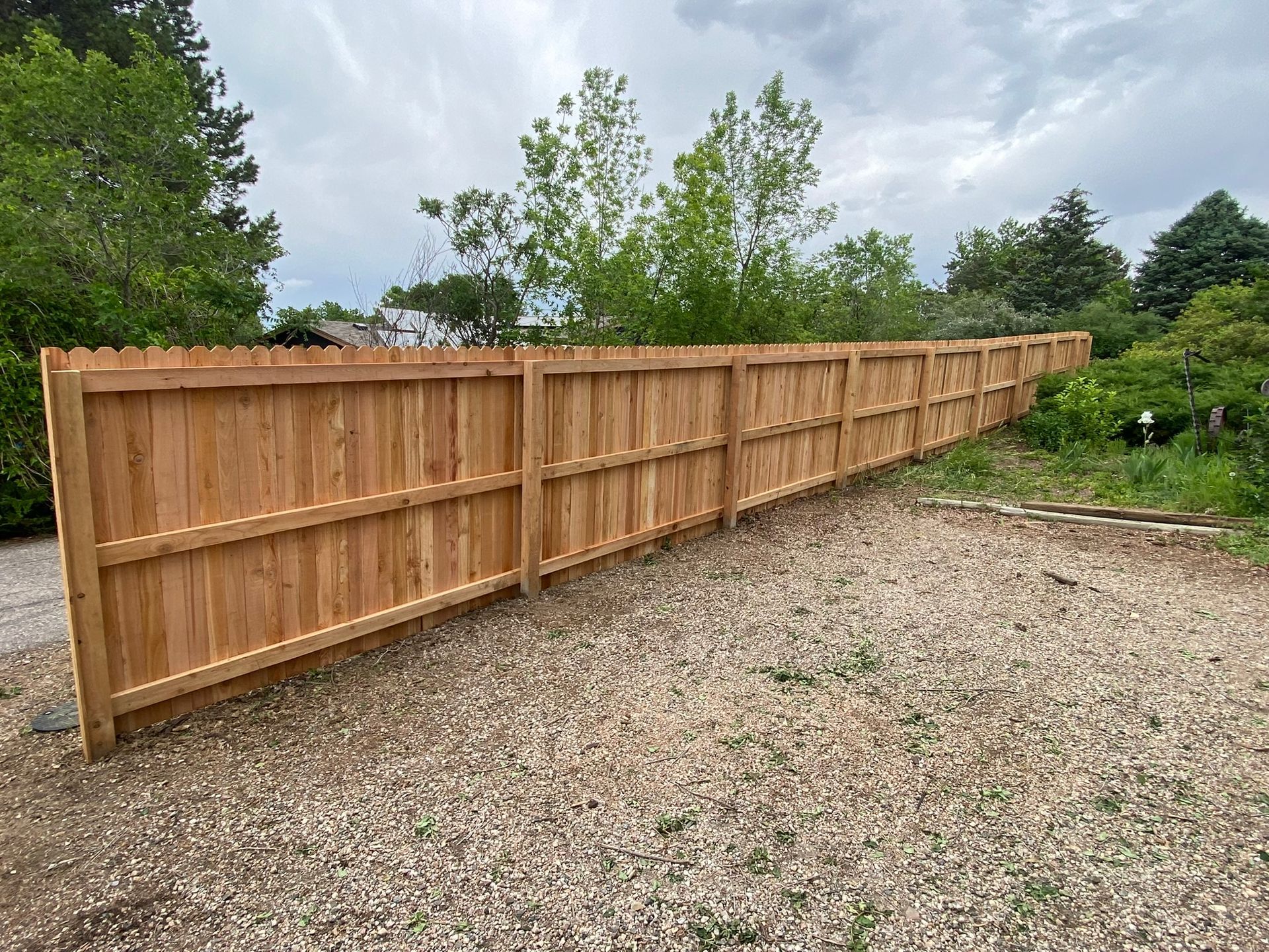 Backside of cedar privacy fence