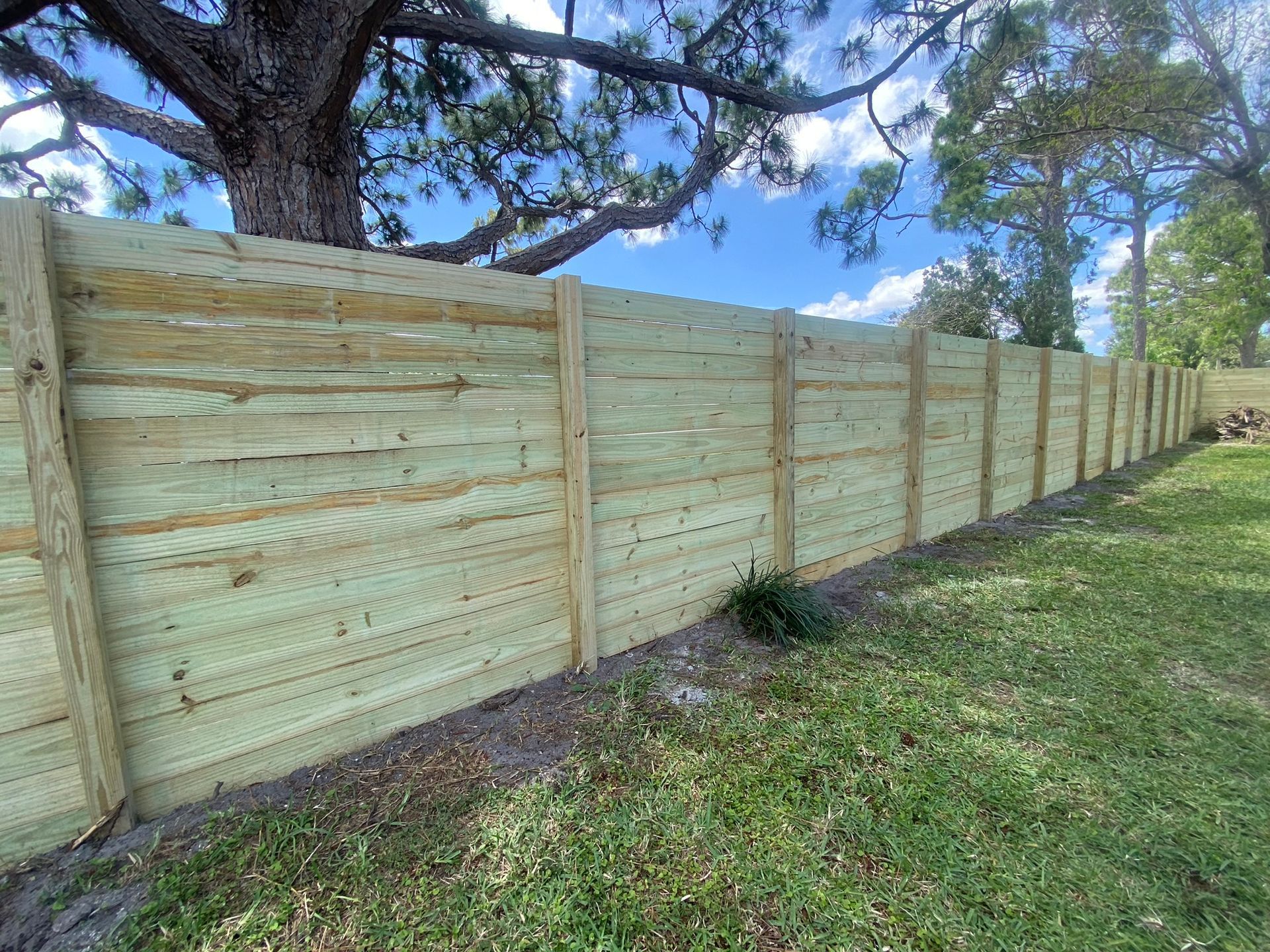 Douglas Fir horizontal back