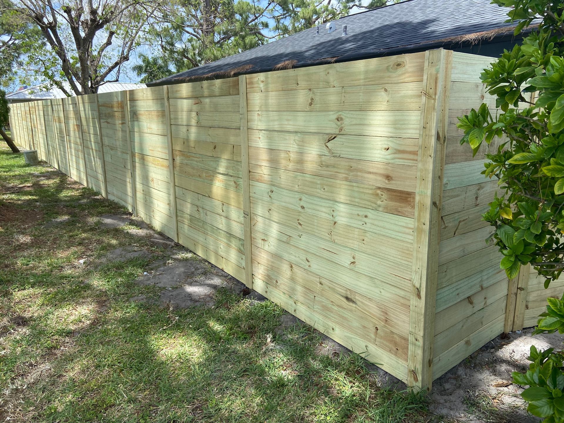 Douglas Fir horizontal side profile