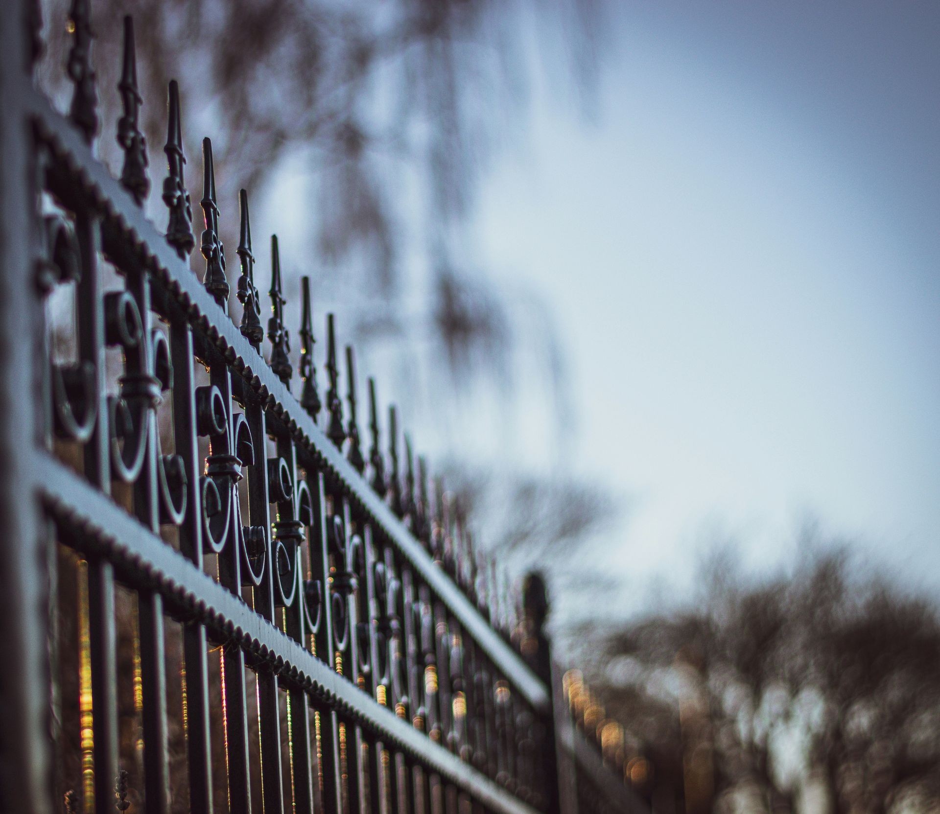 A close up of a wrought iron fence with trees in the background.