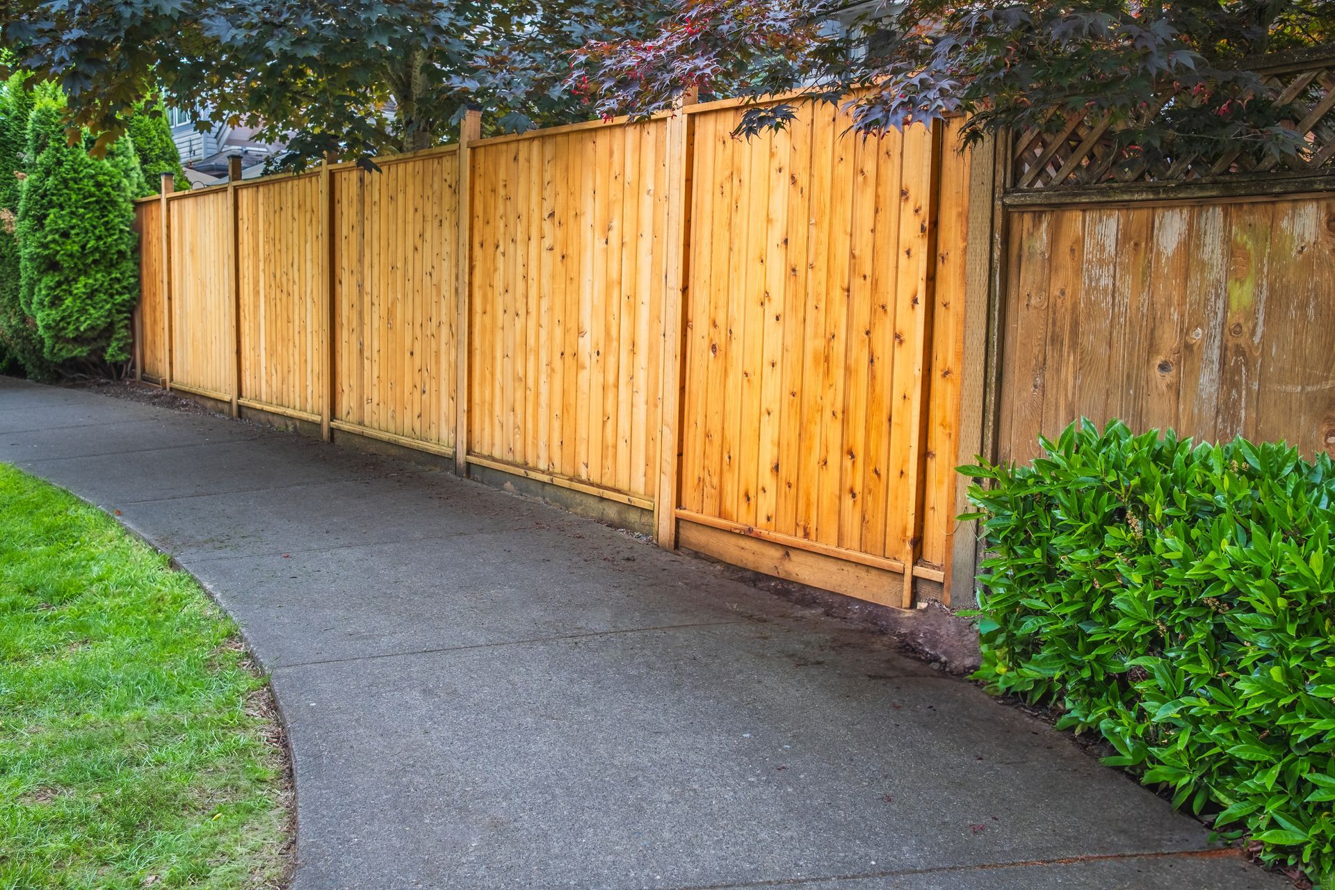 Cedar Privacy Fence in Denver, CO