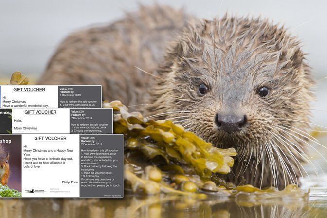 Wildlife Photography Gift Vouchers and Presents