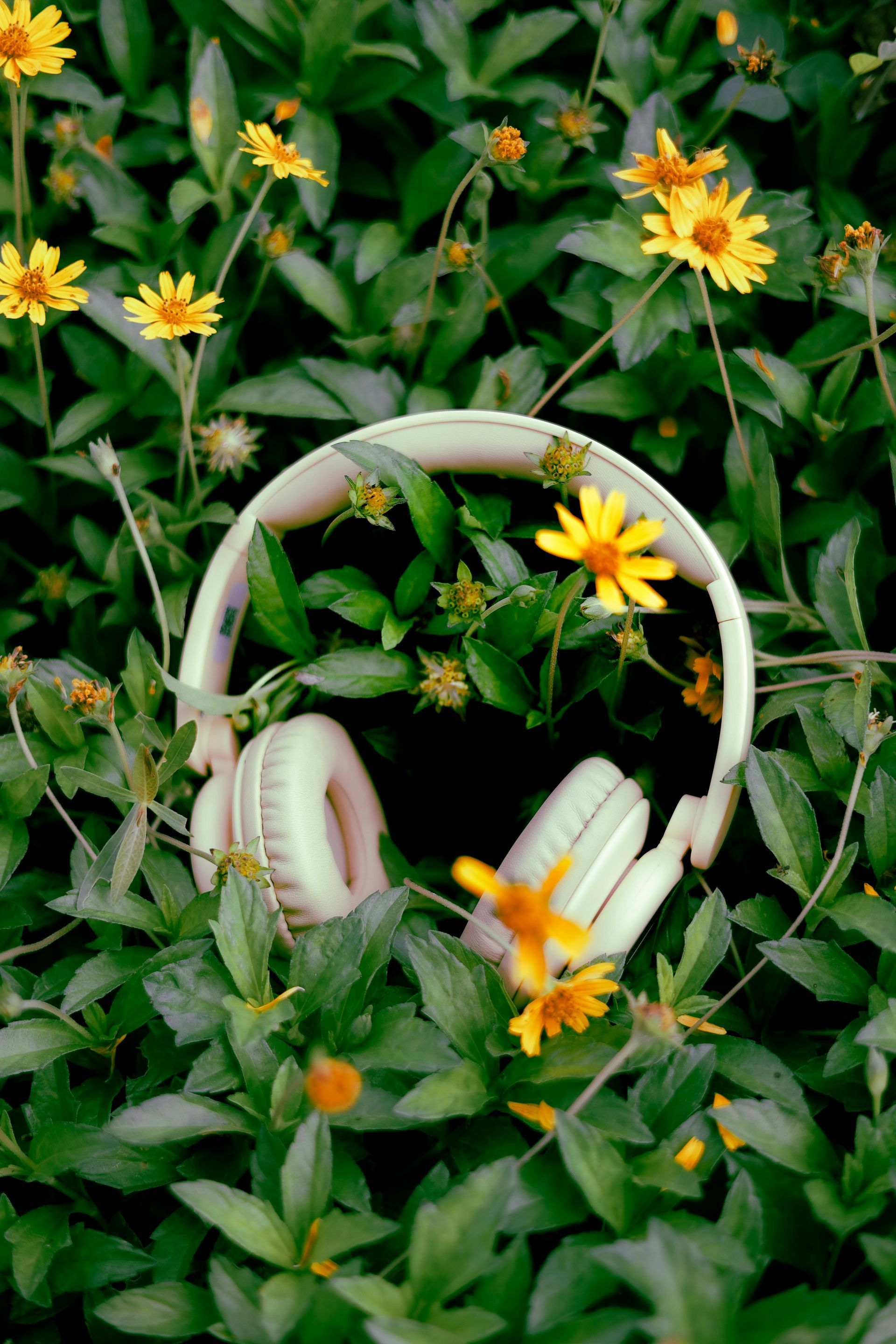 White headphones in green foliage with yellow flowers
