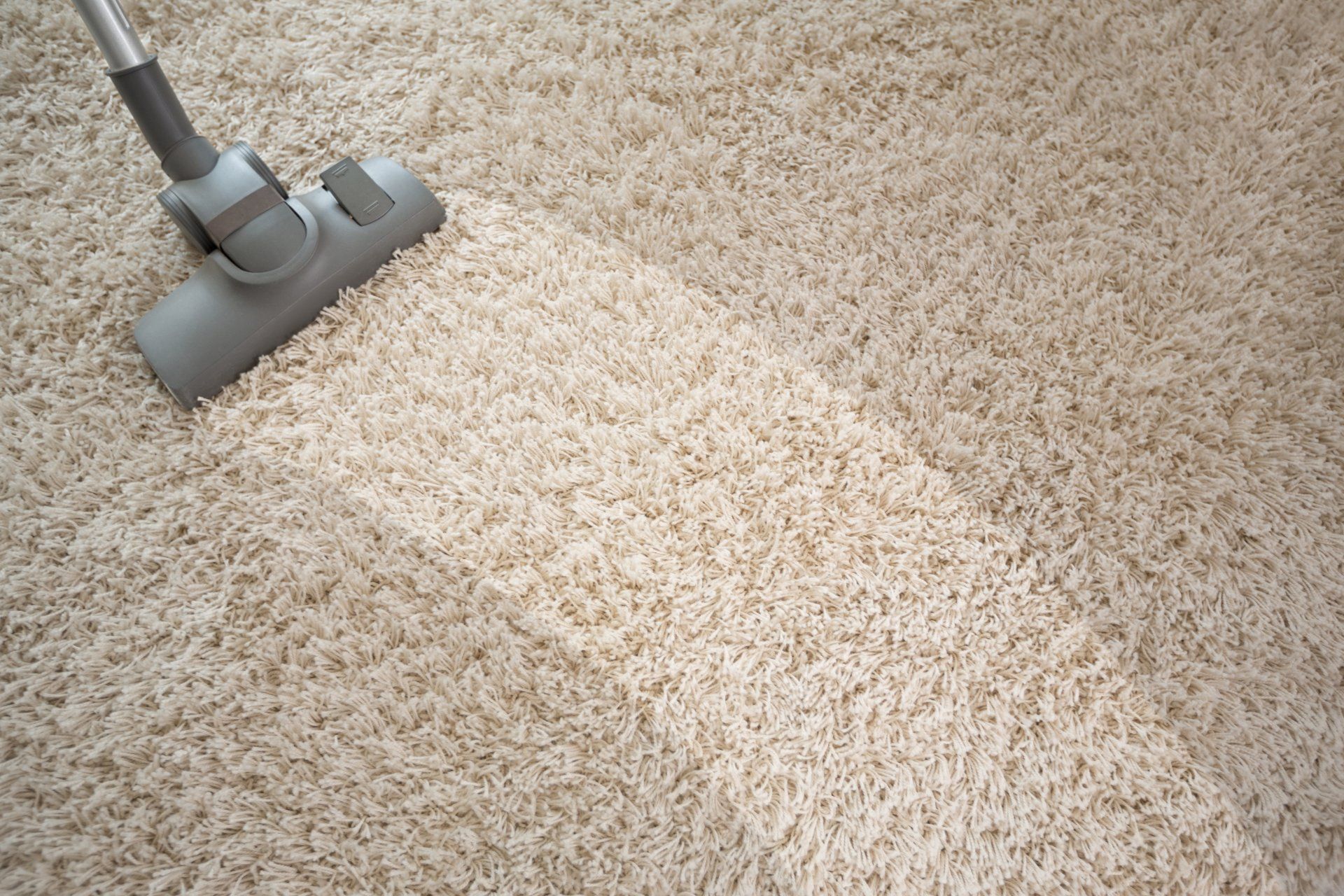 Cleaning Carpets