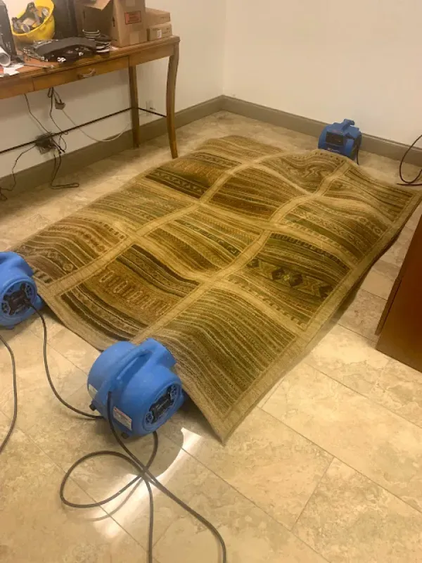 A rug is laying on the floor in a room next to a table.
