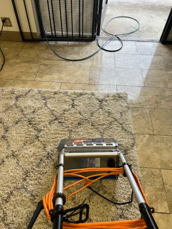 A vacuum cleaner is sitting on top of a rug in a room.
