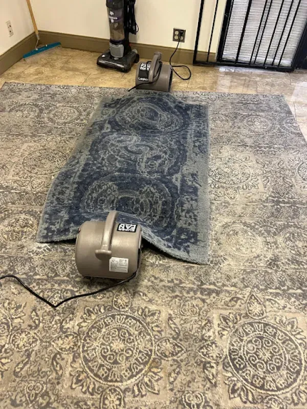 A rug is laying on the floor next to a vacuum cleaner.