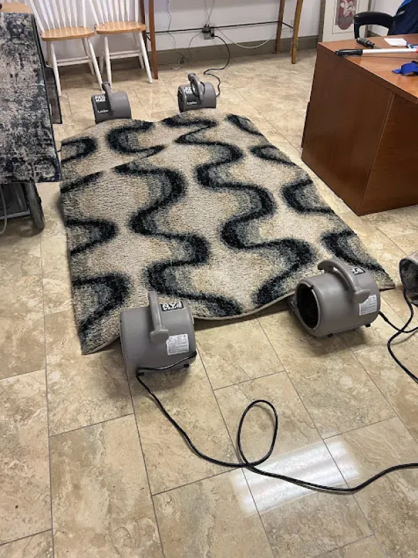 A rug is being dried with a vacuum cleaner in a room.