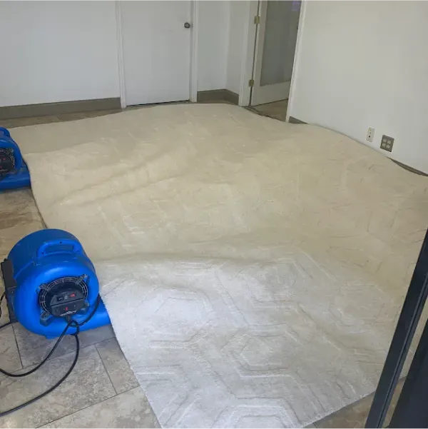A room with two blue fans on the floor