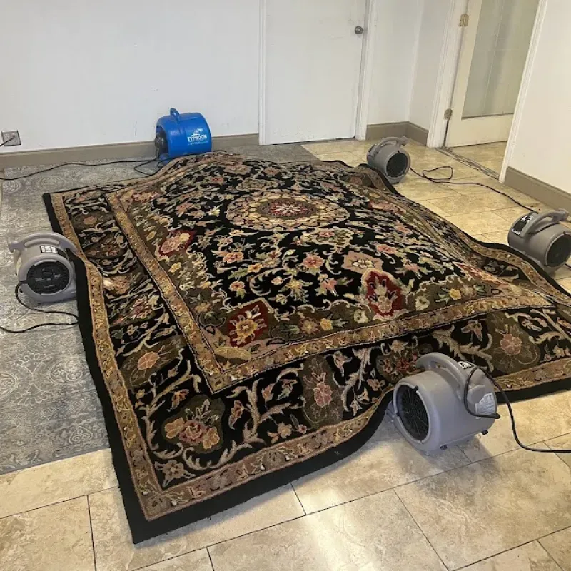 A rug is being blow dried in a room with fans