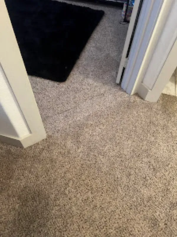 A room with a carpeted floor and a black rug.