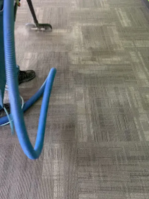 A person is cleaning a carpet with a vacuum cleaner.