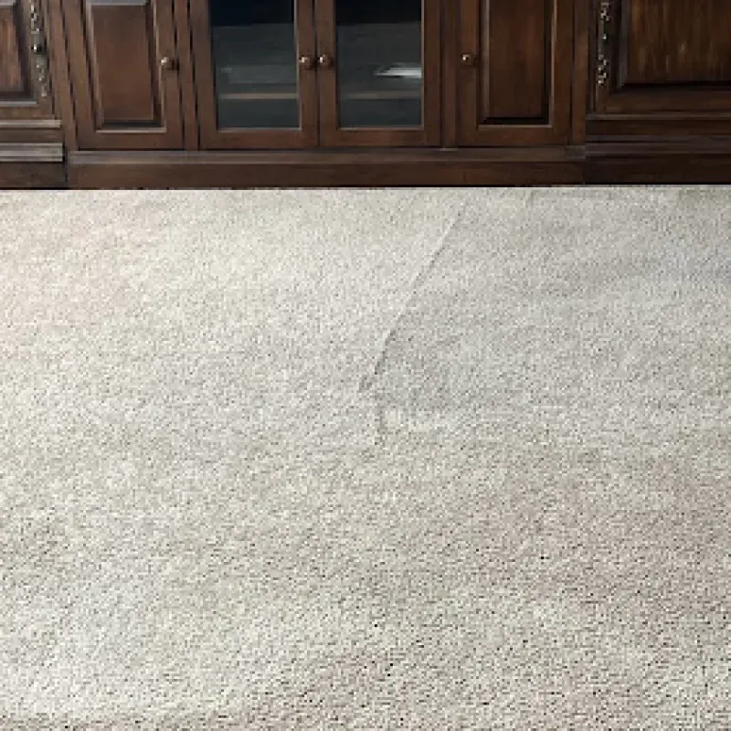 A carpeted floor with a wooden cabinet in the background.