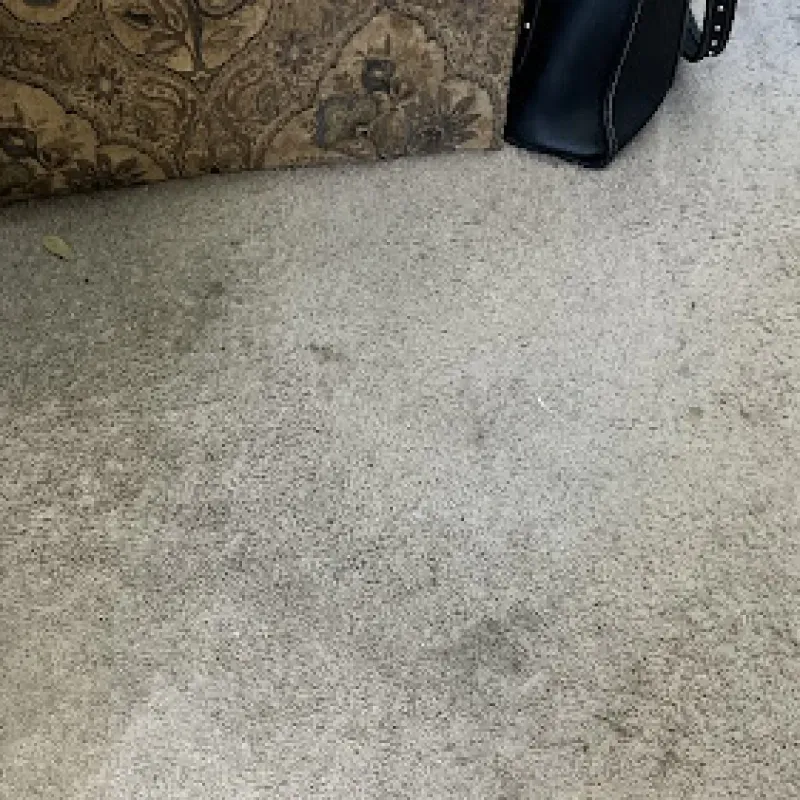 A black purse is sitting on a dirty carpet next to a chair.