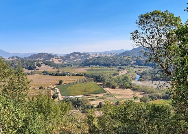 A view of a valley with trees and mountains in the background