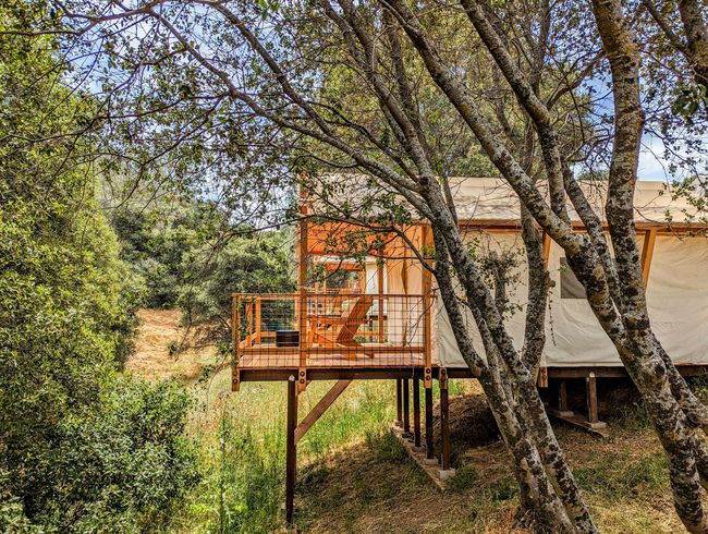 A small house on stilts in the middle of a forest surrounded by trees.