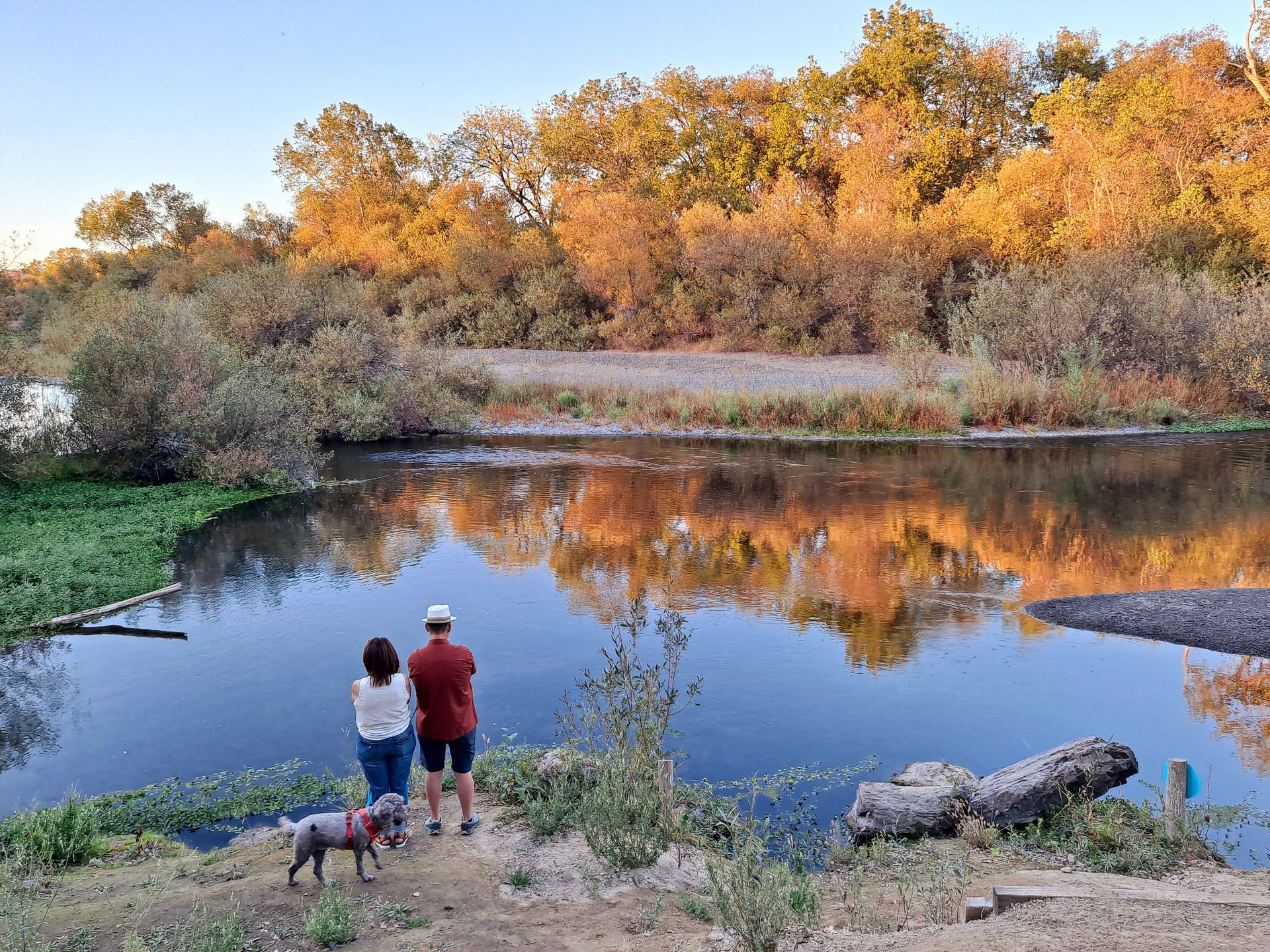 A man and woman are standing next to a river with a dog.