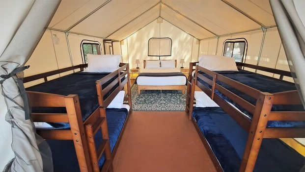 two bunk beds and a queen bed inside canvas glamping tent