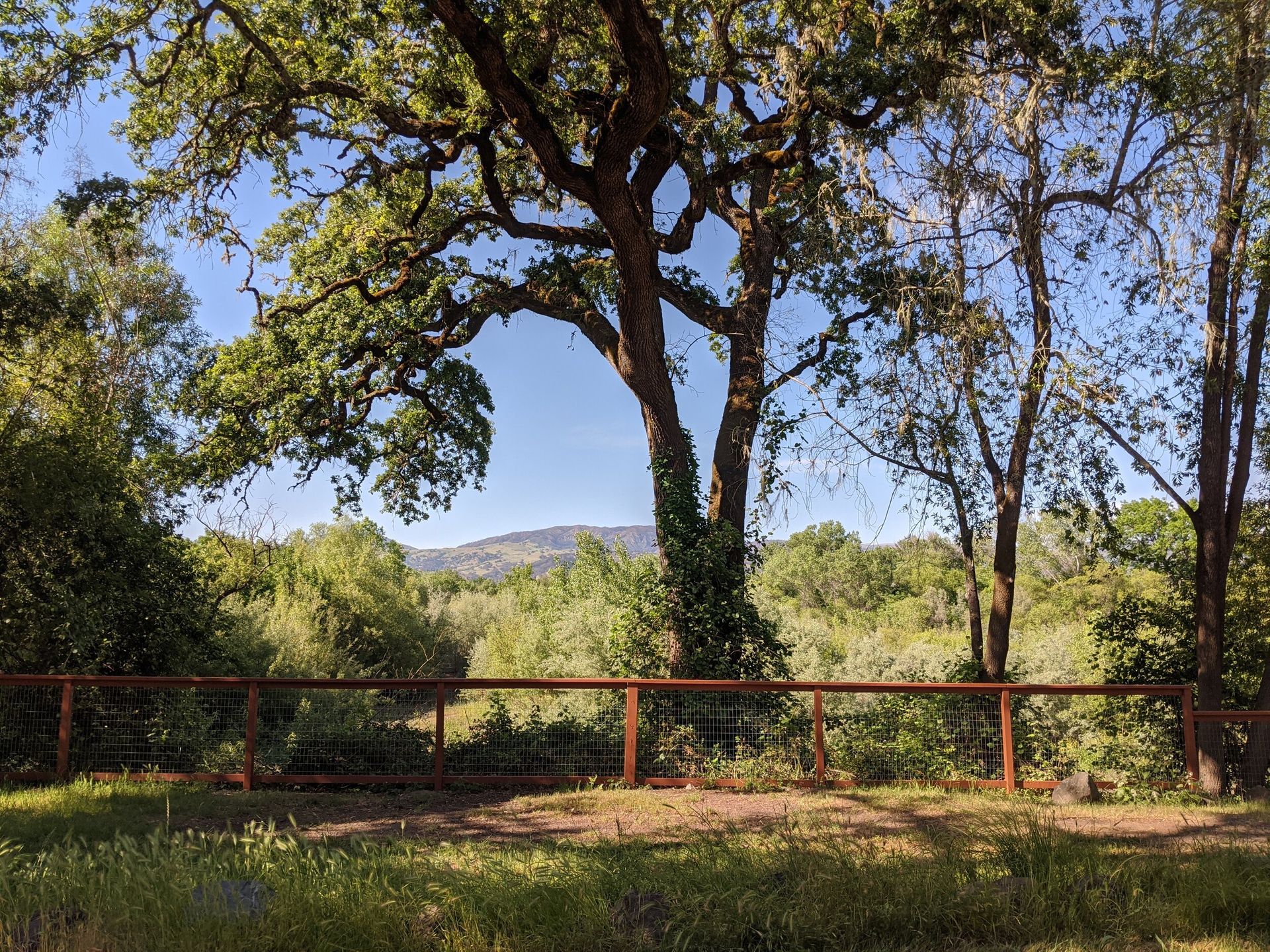 A wooden fence surrounds a field with trees and mountains in the background.