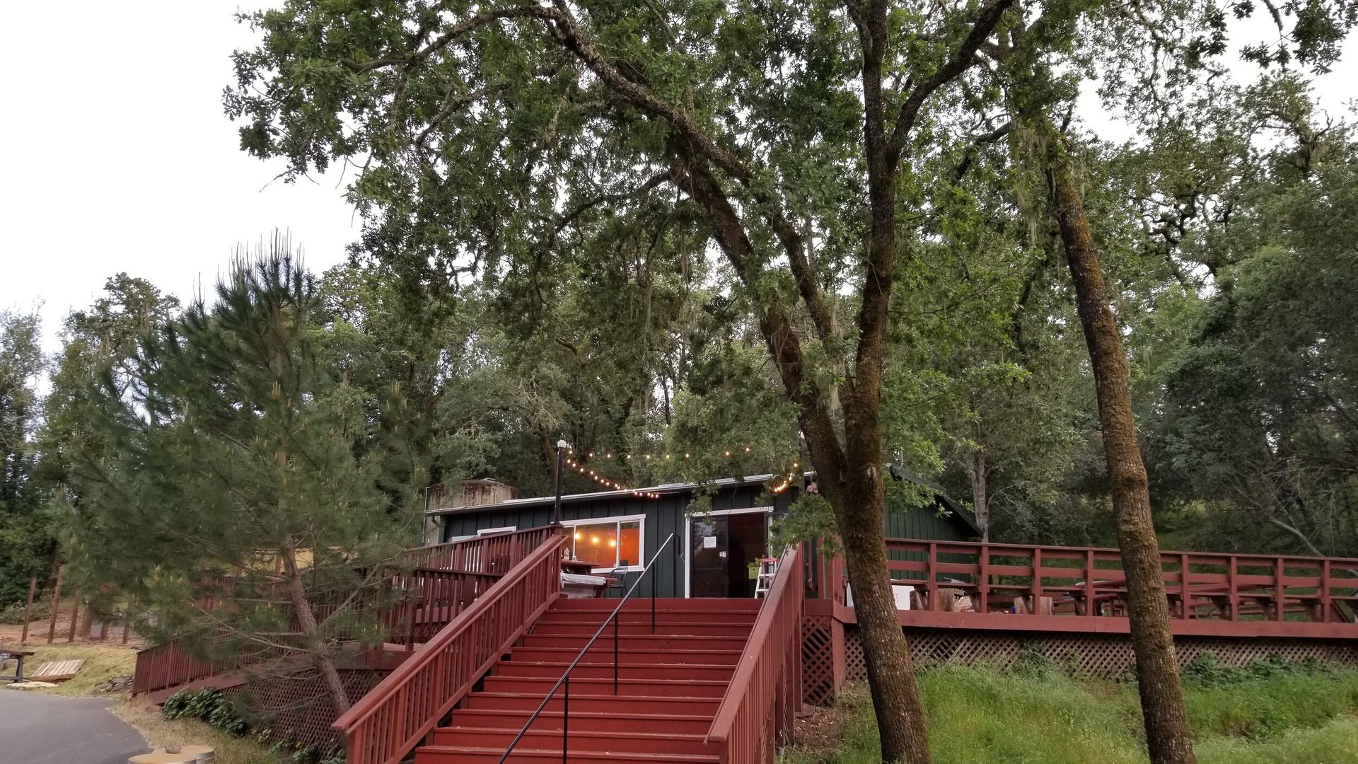 A house with a wooden deck and stairs leading up to it surrounded by trees.