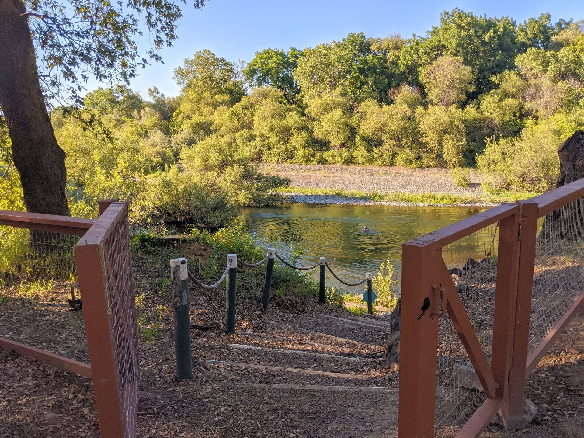 There are stairs leading up to a lake in the woods.
