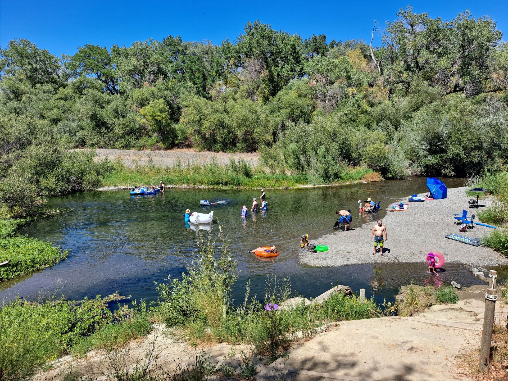 A group of people are playing in a river surrounded by trees.