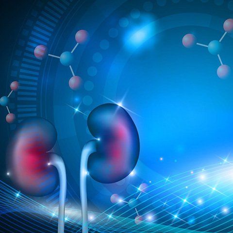 immagine al computer reni