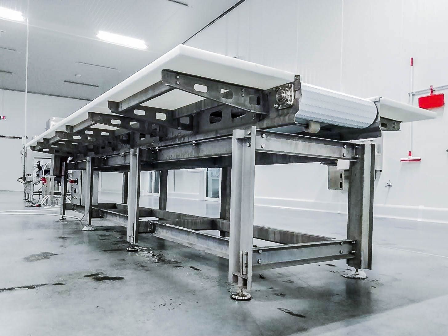 Hygienic flat-belt conveyor system with open-frame design for easy cleaning in food processing – DM Technic.