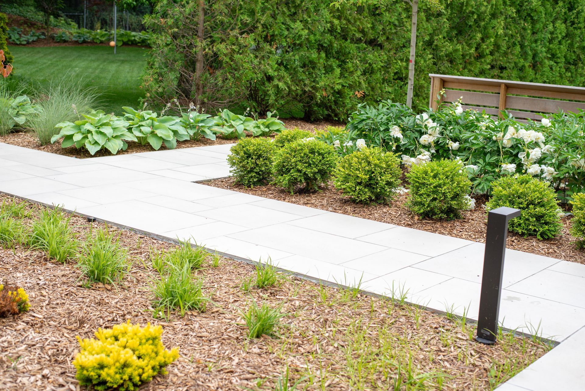 A garden path with mulch and various green plants and bushes alongside it.