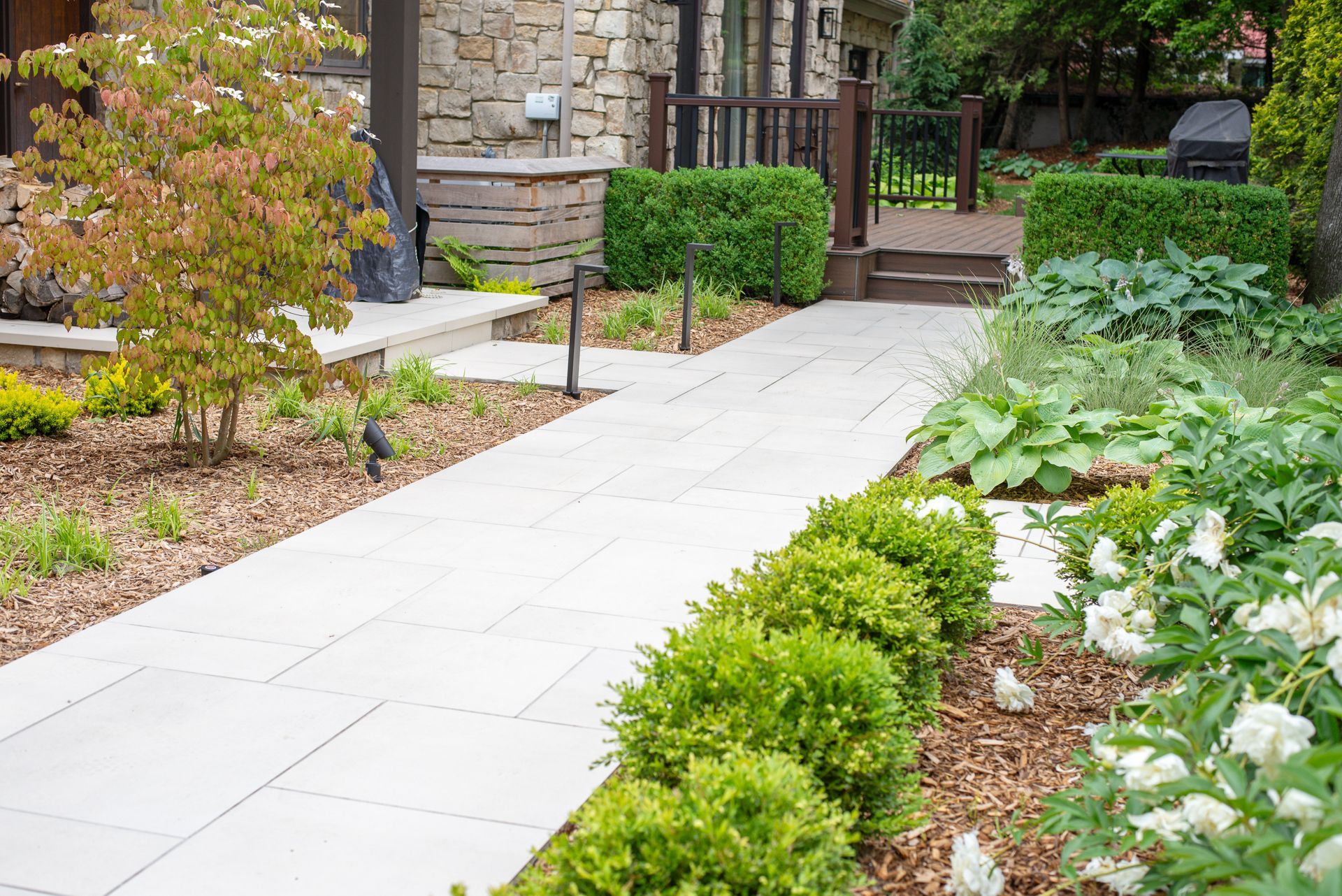 Stone walkway lined with green bushes and plants leading to a house entrance.