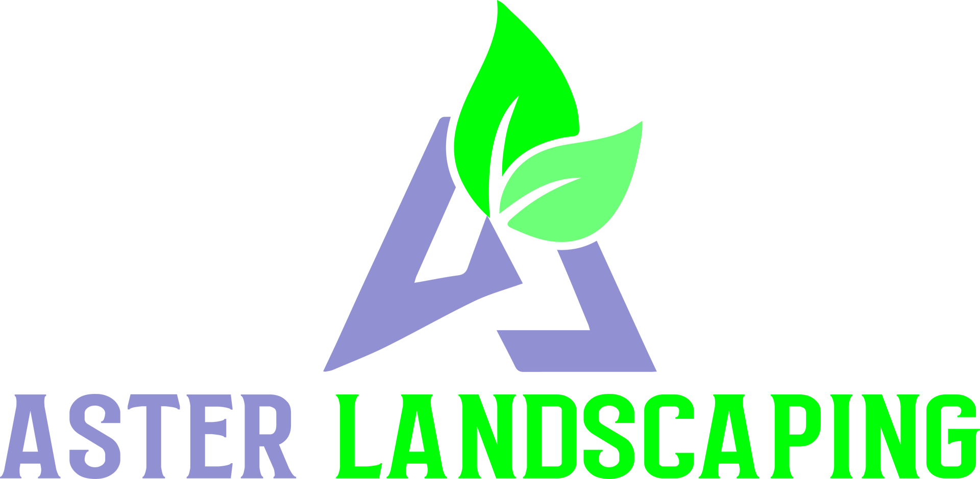 Aster Landscaping