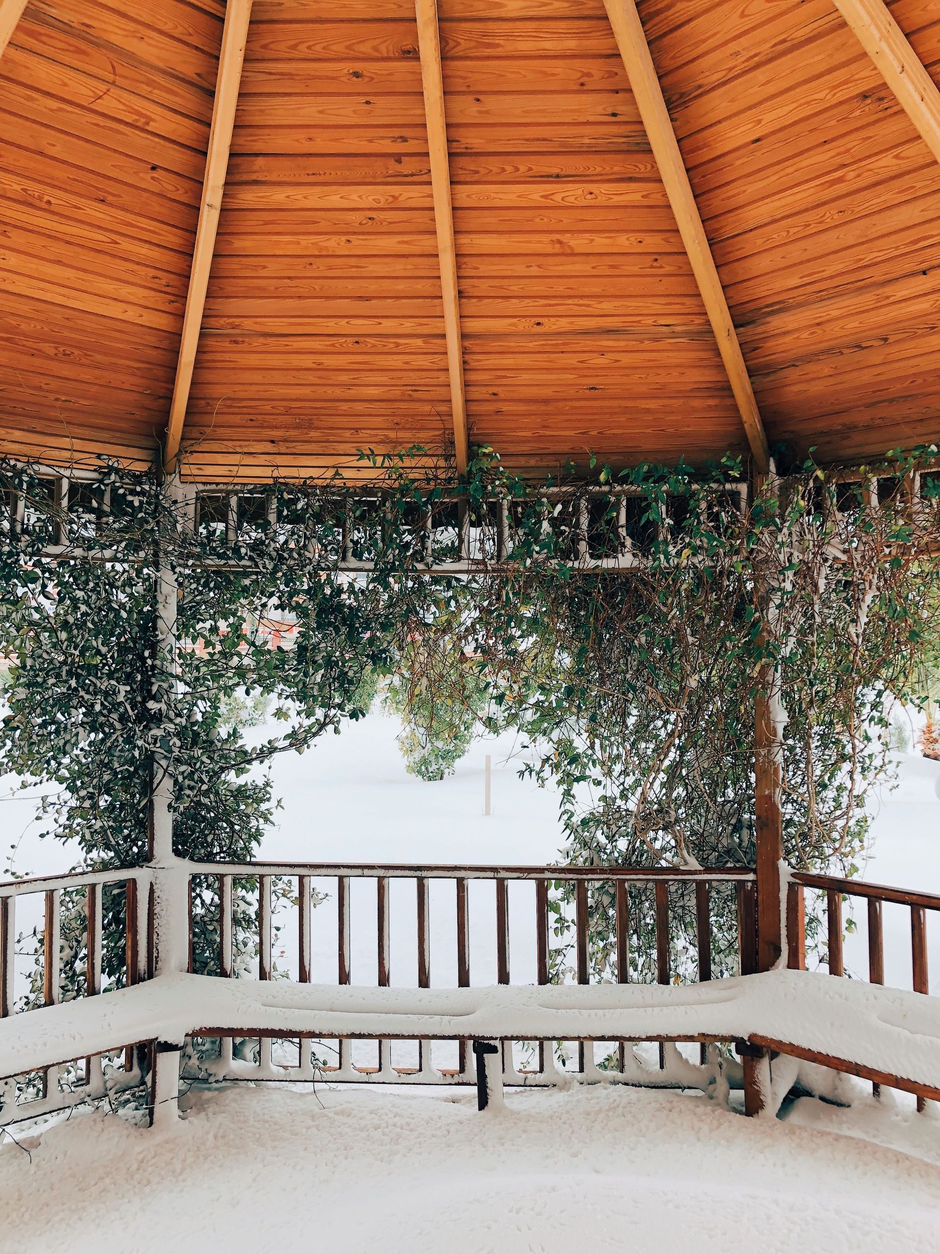 Open gazebo with wooden roof, bench seating, and climbing vines overlooking a bright garden view