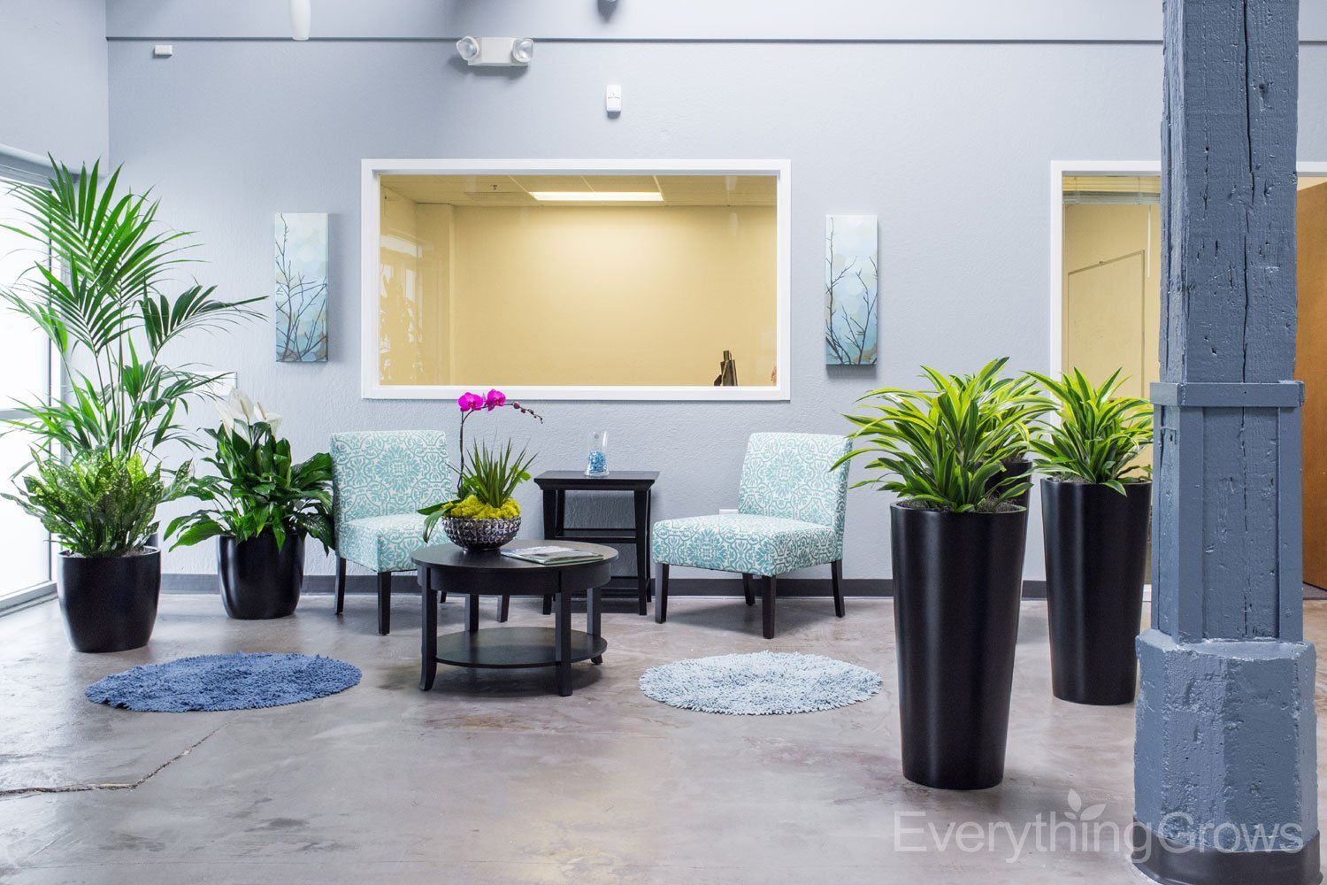 Plants Maintenance — Sitting Area Interior Plants in Chicagoland, IL
