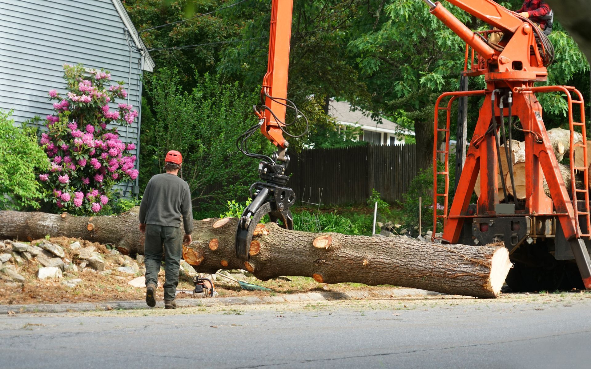 A lumberjack stands near logs on a street as a large orange crane lifts and cuts the wood. A house and blooming bush are in the background.