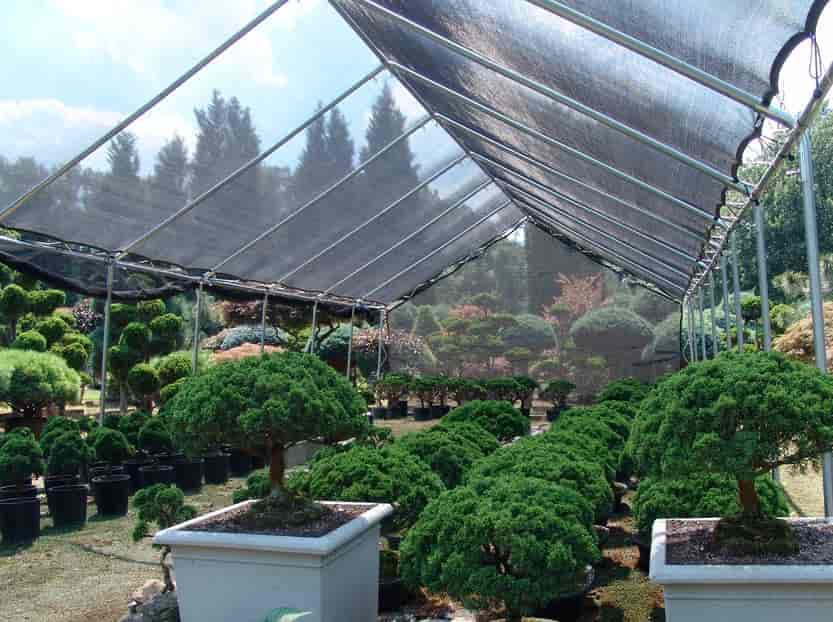 Internal Garden - Construction in Silver Spring, MD