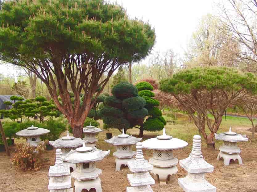 Beatiful Garden - estimates in Silver Spring, MD