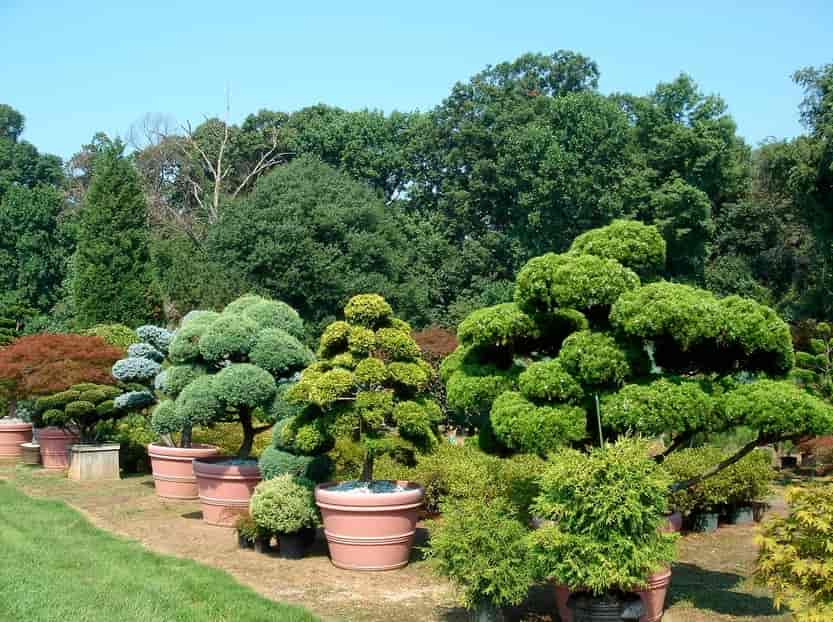 Green Trees - Construction in Silver Spring, MD