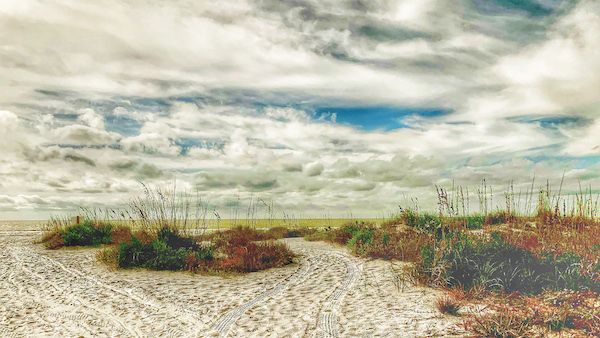 A dirt road leading to the ocean on a cloudy day.