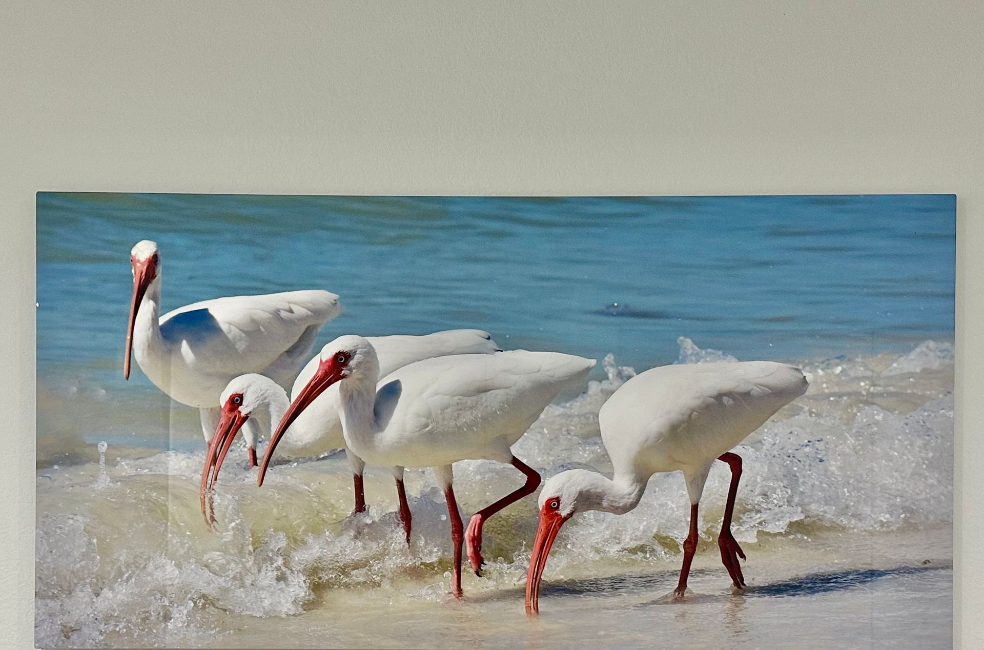 A painting of white birds with red beaks standing on a beach