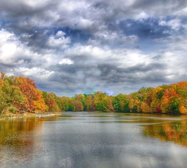 A lake surrounded by trees on a cloudy day