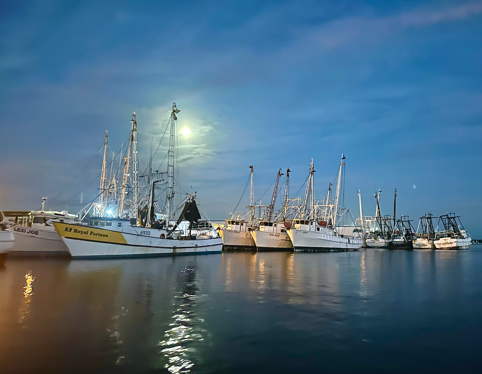 A row of boats are docked in a harbor at night.