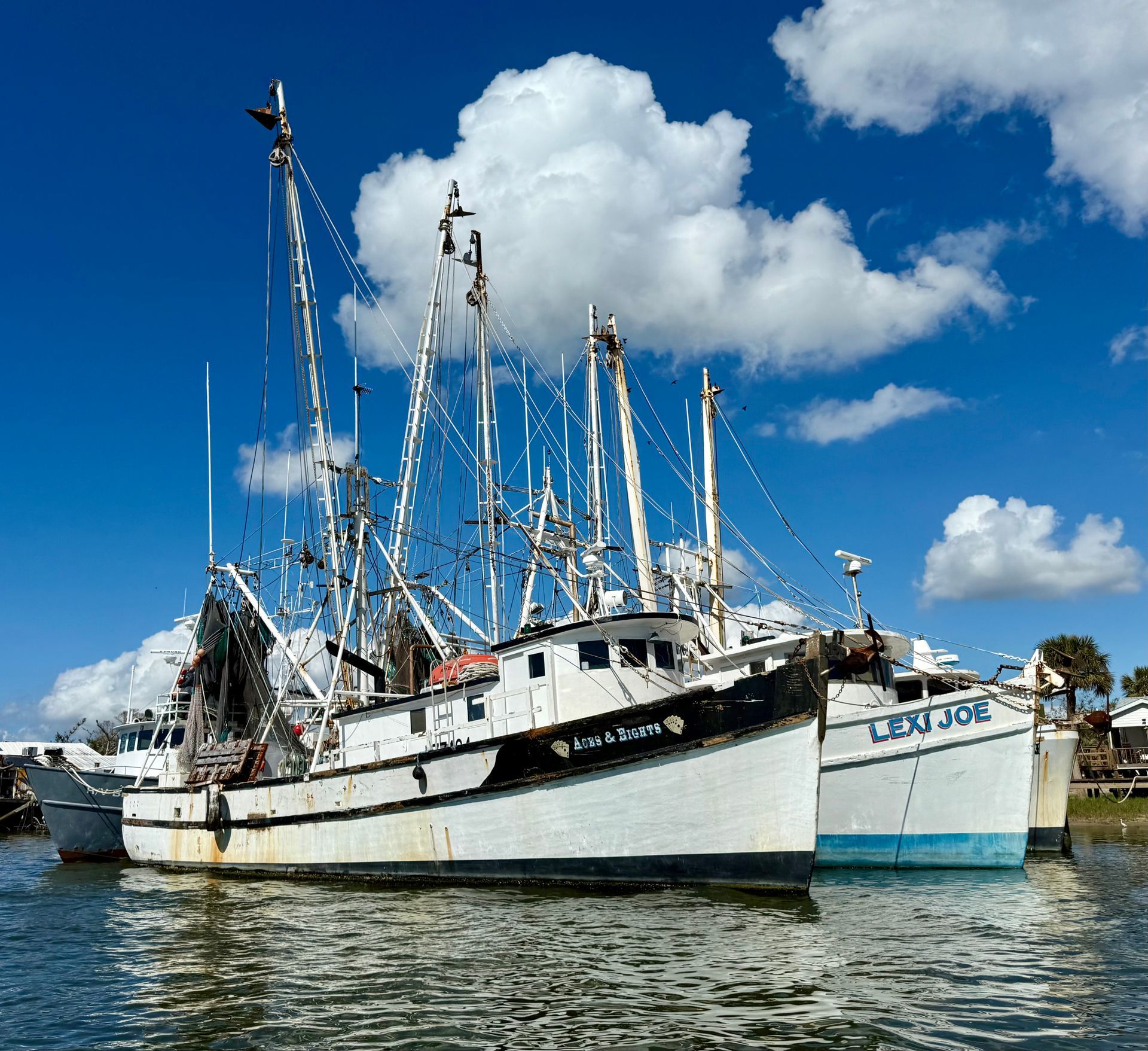 Several boats are docked in a harbor one of which is called cabo tom