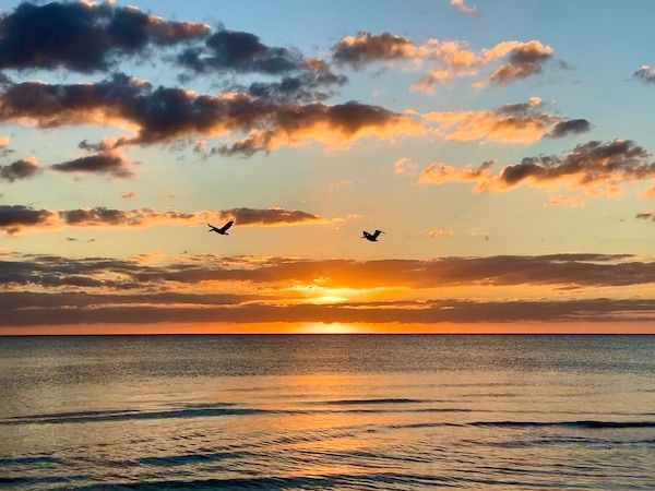 Two birds are flying over the ocean at sunset.