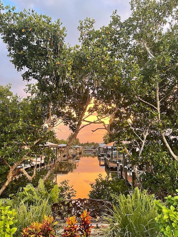 A sunset over a body of water surrounded by trees.
