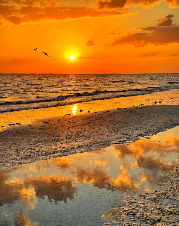 A sunset over the ocean with birds flying over the water