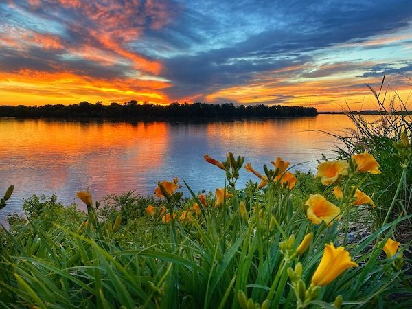 A sunset over a lake with flowers in the foreground