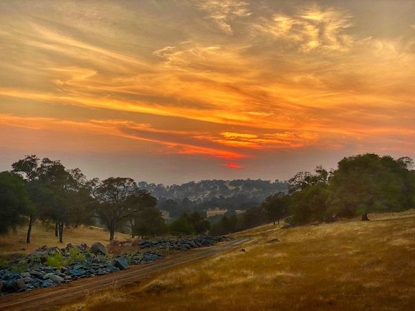 A sunset over a field with trees and rocks